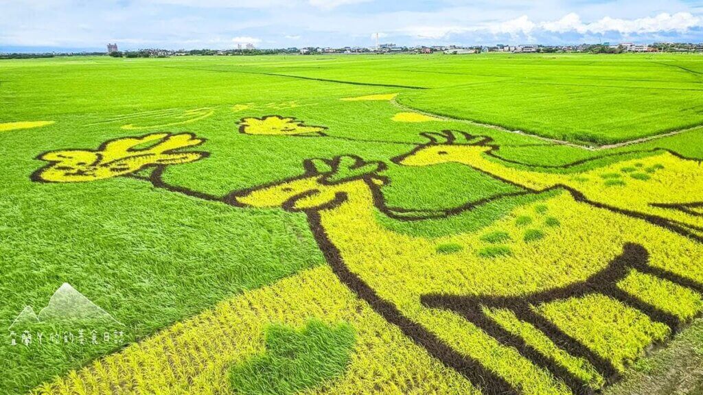 首頁-自然城家 7