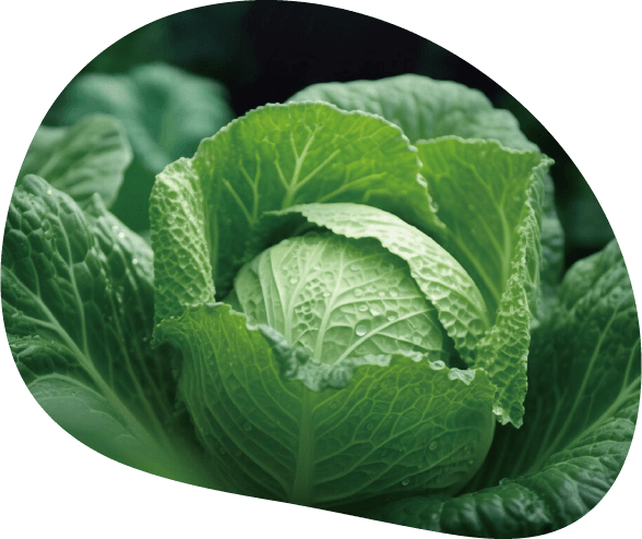 首頁-蘭陽三兄弟 9