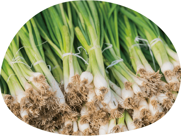 首頁-蘭陽三兄弟 15