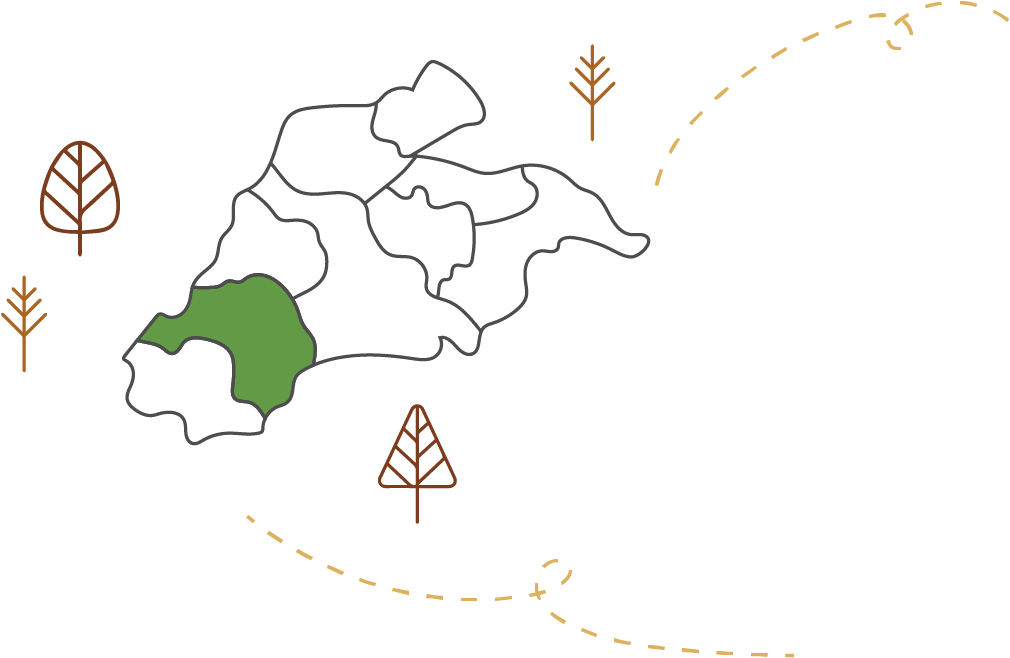 首頁-蘭陽三兄弟 3