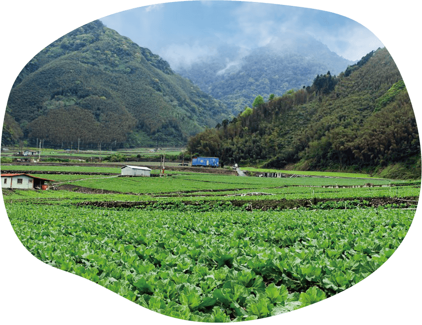 首頁-蘭陽三兄弟 2